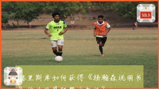 赫里斯库如何获得《杨瀚森说明书》作为发展联盟主教练？